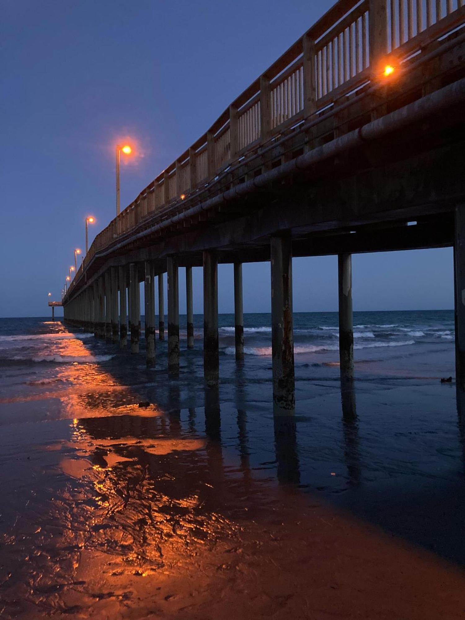 הוילה מירטל ביץ' 2501 S Ocean Blvd, 0929 - Ocean View Sleeps 8 מראה חיצוני תמונה